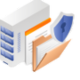 Security Consulting Icon